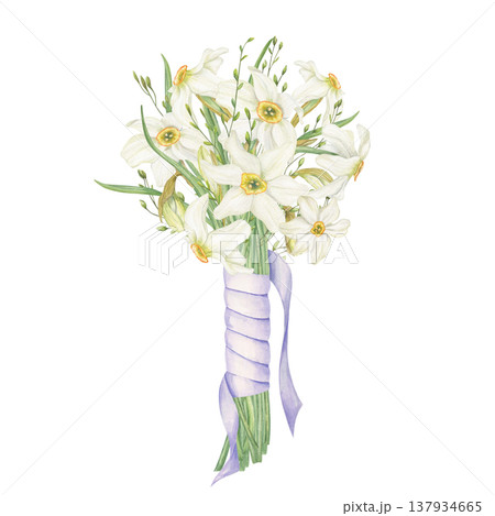White narcissus flowers, blooming wild grasses bouquet tied white satin ribbon watercolor illustration on isolated background. Spring daffodil flowers, spikelet composition for wedding invitation White narcissus flowers, blooming wild grasses bouquet tied white satin ribbon watercolor illustration on isolated background. Spring daffodil flowers, spikelet composition for wedding invitation 137934665