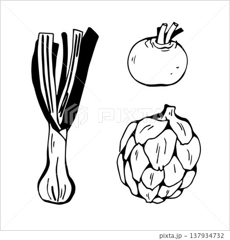 Leek, Artichoke and Turnip in doodle style 137934732
