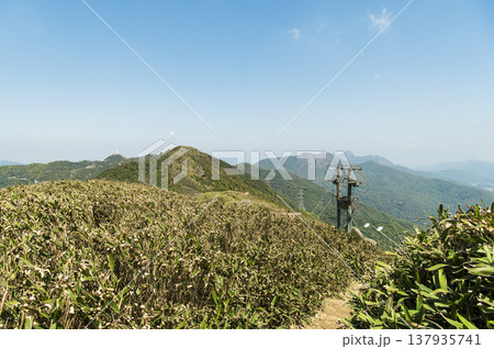 香港　飛鵝山からの景色 137935741