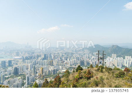 香港 飛鵝山からの景色 香港 飛鵝山からの景色 137935745