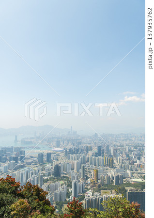 香港　飛鵝山からの景色 137935762