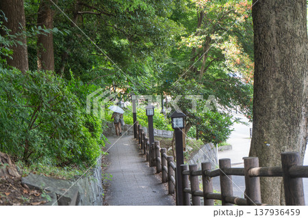 上野公園と不忍の池を結ぶ道 上野公園と不忍の池を結ぶ道 137936459
