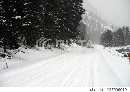 Yellowstone National Winter Snow Yellowstone National Winter Snow 137936619