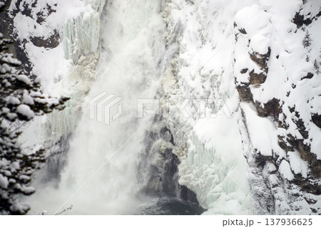 Yellowstone National Winter Snow Yellowstone National Winter Snow 137936625