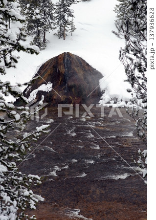 Yellowstone National Winter Snow Yellowstone National Winter Snow 137936628