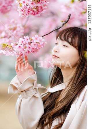 河津桜と若い女性 河津桜と若い女性 137937153