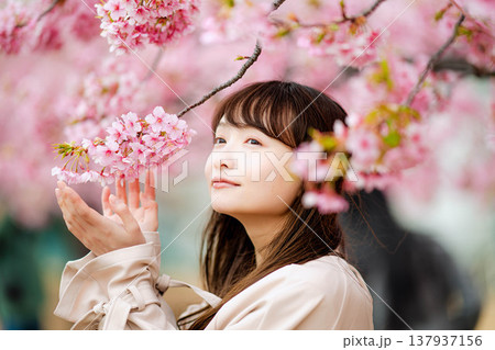 河津桜と若い女性 137937156