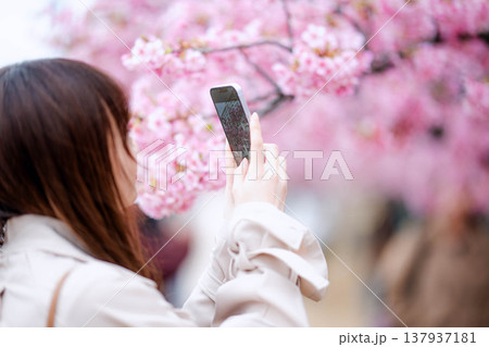 桜と撮影する女性 137937181