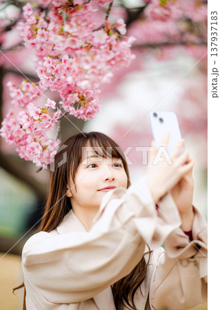 桜と撮影する女性 桜と撮影する女性 137937183