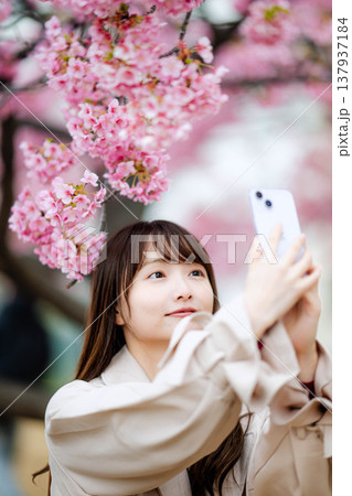桜と撮影する女性 137937184