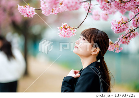 桜を背景にした若い女性 137937225