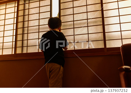 障子越しに外を見る男の子 障子越しに外を見る男の子 137937252