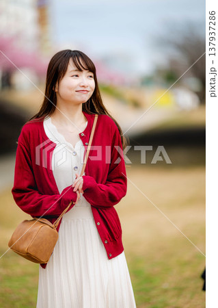 観光地を観光する女性 観光地を観光する女性 137937286