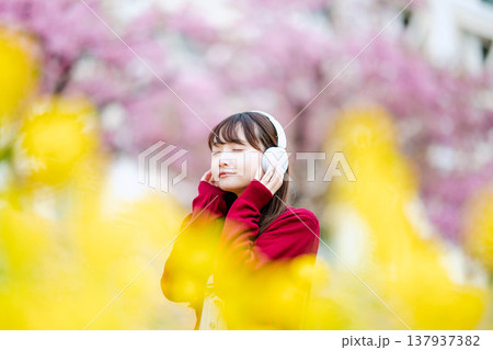 桜の中でヘッドホンで音楽を聴く若い女性 137937382