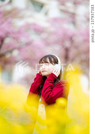 桜の中でヘッドホンで音楽を聴く若い女性 桜の中でヘッドホンで音楽を聴く若い女性 137937383