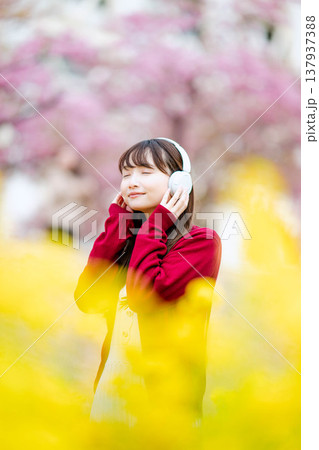桜の中でヘッドホンで音楽を聴く若い女性 137937388