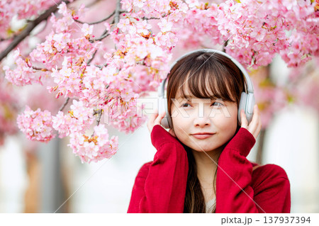 桜の中でヘッドホンで音楽を聴く若い女性 桜の中でヘッドホンで音楽を聴く若い女性 137937394