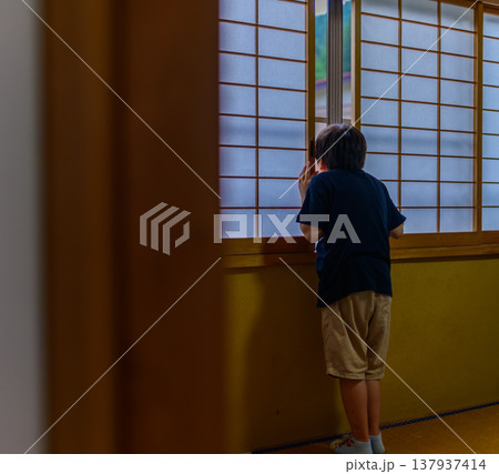 障子越しに外を覗く子供の後ろ姿 障子越しに外を覗く子供の後ろ姿 137937414