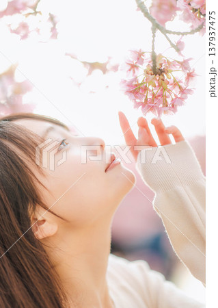 桜と若い女性 137937475