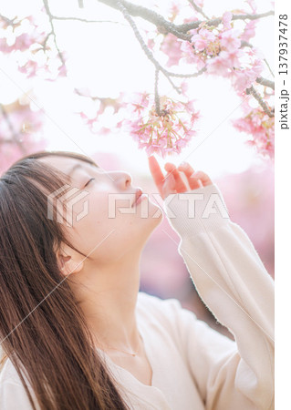 桜と若い女性 137937478