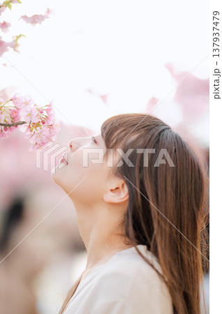 桜と若い女性 137937479