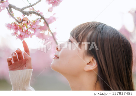 桜と若い女性 137937485