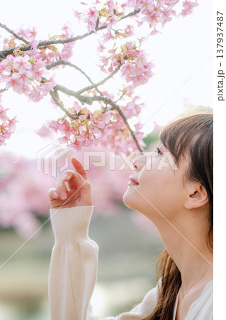 桜と若い女性 137937487