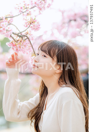 桜と若い女性 桜と若い女性 137937491