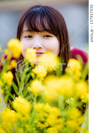 菜の花と若い女性 137937930