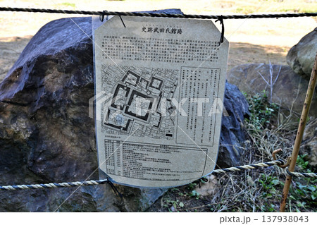 甲斐国　武田神社　躑躅ヶ崎館 137938043