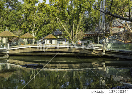 熱田神宮 南神池 船形歩道 愛知県名古屋市 熱田神宮 南神池 船形歩道 愛知県名古屋市 137938344