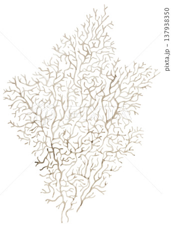 Watercolor beige coral branch. Pastel Isolated illustration for coastal wedding invitations Watercolor beige coral branch. Pastel Isolated illustration for coastal wedding invitations 137938350