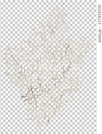 Watercolor beige coral branch. Pastel Isolated illustration for coastal wedding invitations Watercolor beige coral branch. Pastel Isolated illustration for coastal wedding invitations 137938350