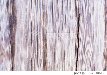 Modern gray wood texture with a distinct vertical grain pattern. Ash and silver tones create a minimalist, rhythmic surface ideal for contemporary interior design 137938612