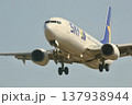 着陸する旅客機 137938944
