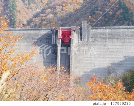 加治川治水ダム　紅葉　【新潟県新発田市】 137939250
