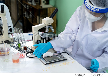 Female biochemistry scientist manipulating white lab rat Female biochemistry scientist manipulating white lab rat 137939338