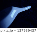 伝統工芸 金継ぎ 137939437
