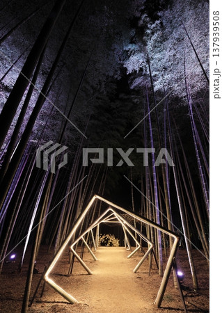 宇都宮「若竹の杜 若山農場」ライトアップ 宇都宮「若竹の杜 若山農場」ライトアップ 137939508