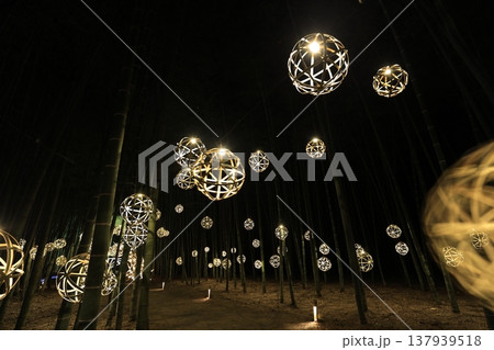 宇都宮「若竹の杜 若山農場」ライトアップ 宇都宮「若竹の杜 若山農場」ライトアップ 137939518