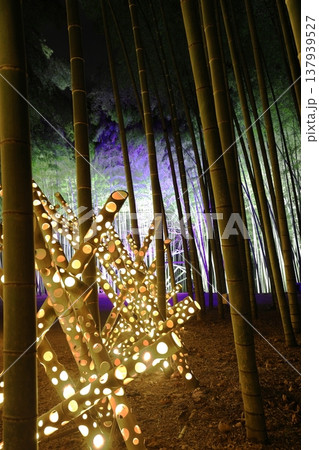 宇都宮「若竹の杜　若山農場」ライトアップ 137939527