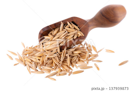 Unpeeled oat grains isolated on white background. Organic dry oat seeds in wooden spoon. Clipping path. Unpeeled oat grains isolated on white background. Organic dry oat seeds in wooden spoon. Clipping path. 137939873