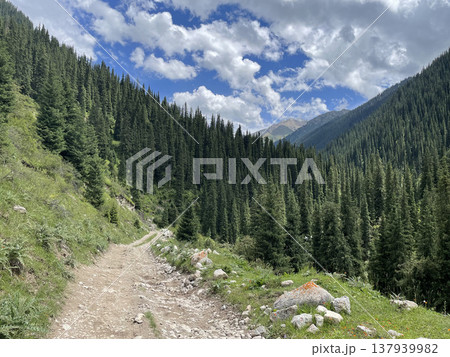 《キルギス》アルティンアラシャン 137939982