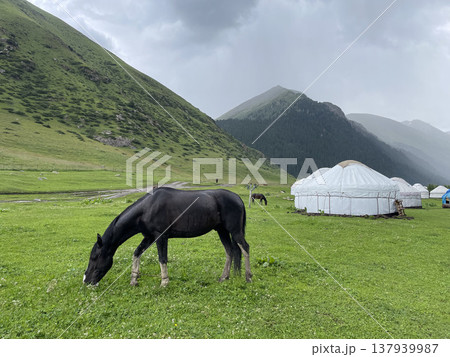 《キルギス》アルティンアラシャン 137939987