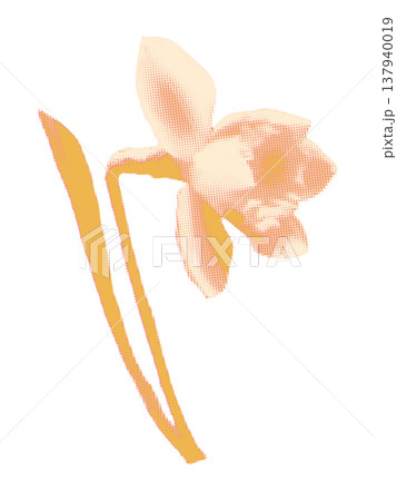 Halftone daffodil flower collage element. Paper floral clipping, vintage risograph dot texture. Modern retro vector illustration for spring mixed media design isolated on transparent background 137940019