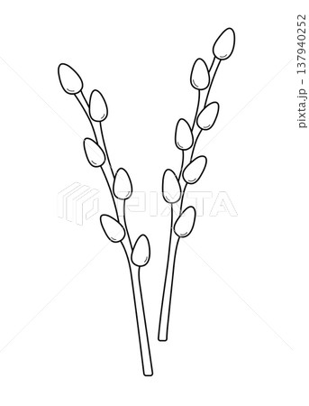 Two branches of willow. Spring easter elements in doodle line style. Palm Sunday. Isolated vector illustration. Two branches of willow. Spring easter elements in doodle line style. Palm Sunday. Isolated vector illustration. 137940252
