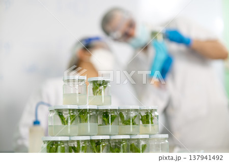 Male female scientist was carefully looking at the tissue samples Male female scientist was carefully looking at the tissue samples 137941492