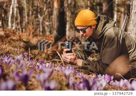 Man Hiker Taking Photo of Crocus Flowers Man Hiker Taking Photo of Crocus Flowers 137942729