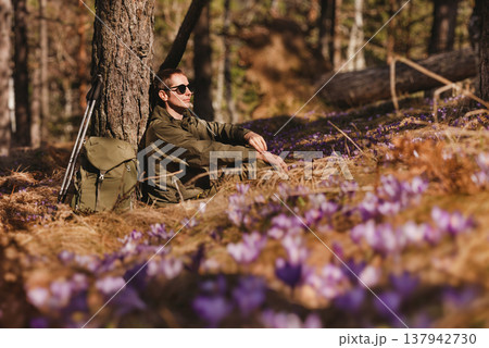 Man Hiker Sitting on Forest Glade with Crocuses Man Hiker Sitting on Forest Glade with Crocuses 137942730