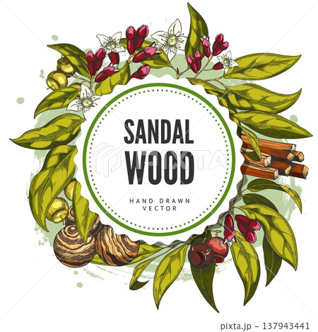 Sandalwood tree leaves, flowers, seeds with fragrant sticks and balls sketch, organic products vector round label design Sandalwood tree leaves, flowers, seeds with fragrant sticks and balls sketch, organic products vector round label design 137943441